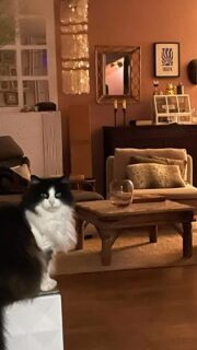 🗣️🪬 Deux jours d’éveil et de créativité, où chaque sens a été mis en éveil.

Retraite ❤️ à ❤️

Un mélange de gourmandise, de partage et de transformation.

Merci à toutes les participantes pour ces moments magiques💫 

@isadag7899 @aurelie_fischer_archi @marjorieravier_ @martinalaplage974 @karine5201 Mélusine @elotehada @maudminet Bérangère 

Et un remerciement tout particulier à @leslie.photographie pour avoir couvert l’évent de sa douce présence très pro et à @karma_organicproducts notre partenaire granolesque qui a bien contribué à la gourmandise de ces deux jours.

#coeuracoeur #YogaEtCréation #SensoryJourney