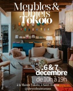 📌 Meubles et Objets Tokoto

Rendez-vous les 6 & 7 décembre de 10h à 19h à la Maison Tokoto à Saint-Avertin pour une nouvelle exposition pleine d’inspiration !

Après le succès de septembre dernier, je réitère l’expérience en ouvrant les portes de mon atelier, véritable laboratoire d’idées.

Venez découvrir une sélection éclectique de meubles et objets uniques, parfaits pour les fêtes et au-delà.

Un voyage dans l’art de vivre, où chaque pièce raconte une histoire, où la singularité se mêle à la créativité.

Ne manquez pas cette immersion artistique et cette ambiance unique, où l’originalité est à l’honneur.

À très vite pour partager ces deux jours d’aventure arty !

#expositionart #lifestyle #artisticlifestyle #artdevivre #decoration #style #inspiration #upcycling #couleurs #touraineloirevalley #saintavertin