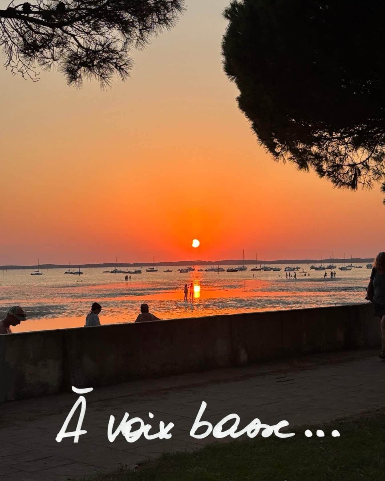 Pourquoi À VOIX BASSE ? Parce qu’un artiste passe énormément de temps seul.
On imagine les expositions, les rencontres, les projets. On voit moins toutes ces heures où les idées prennent forme dans le silence.
Dans beaucoup de métiers, on échange chaque jour avec des collègues. On confronte ses idées, on raconte ses doutes, on affine sa pensée.
Chez Moi, ces conversations ont souvent lieu… avec moi-même.
Alors j’ai eu envie d’ouvrir ici un espace où ces réflexions puissent exister.
À VOIX BASSE, c’est ça !
Un endroit où je partage ce qui traverse mon travail : mes réflexions, mes convictions, mes interrogations, mes doutes parfois. Ce qui nourrit mon regard, mes choix, mes œuvres et ma manière d’habiter les lieux.
Ce n’est pas un journal intime.
Ce n’est pas une leçon non plus.
C’est une sorte de conversation.
Et peut-être le rendez-vous où, plus qu’à d’autres moments ici, vos réactions, vos expériences, vos désaccords même, sont attendus.
Parce que si je parle à voix basse, c’est sans doute parce que je n’aime pas faire trop de bruit. Mais j’aime profondément partager, échanger, confronter les regards. Parce que c’est aussi avec les autres que ma pensée bouge, s’enrichit et grandit.
À voix basse… La solitude est une sauvage qui aime son territoire, mais qui grandit de la rencontre avec l’autre.