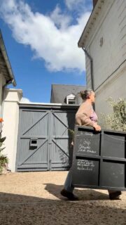 C’est demain les zamis ! J’me sens comme Céline Dion la veille de rechanter 😳😅

Je plaisante, mais il y a quand même une petite émotion derrière tout ça.

Pour cette ouverture, je suis allée rechercher des œuvres, des dessins, des fragments parfois anciens, parfois très peu montrés — et certaines choses jamais sorties de l’atelier.

Après plus de quinze ans de pratique professionnelle, les voir aujourd’hui dialoguer avec ce que je crée maintenant et dans cet écrin qu’est mon lieu, me fait quelque chose.

Les Grandes Réserves, c’est peut-être ça finalement : un pont entre un temps et un autre.

Venez regarder, contempler, fouiller du regard, peut-être acquérir une œuvre… et surtout profiter de ce moment entre art et patrimoine, dans cette maison-atelier que j’habite et transforme depuis toutes ces années.

18. 19. 20 septembre · 11h–18h · @villedesaintavertin

LES GRANDES RÉSERVES
de la Maison Tokoto
Événement inscrit aux Journées Européennes du Patrimoine

Je trépigne d’impatience 🤗🫶